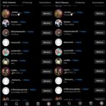 Real Instagram Standard Followers proof