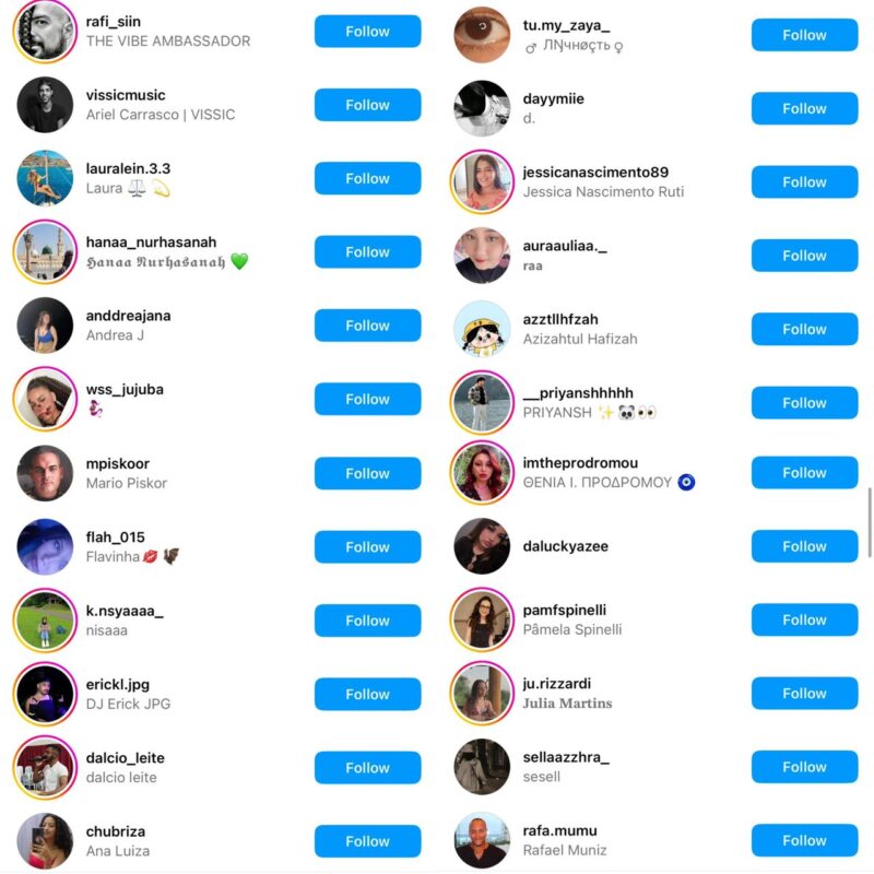 Real Instagram Standard Followers quality